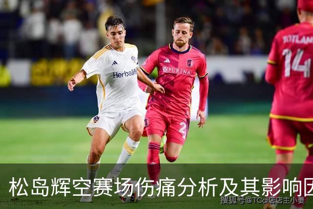 松岛辉空赛场伤痛分析及其影响因素探讨